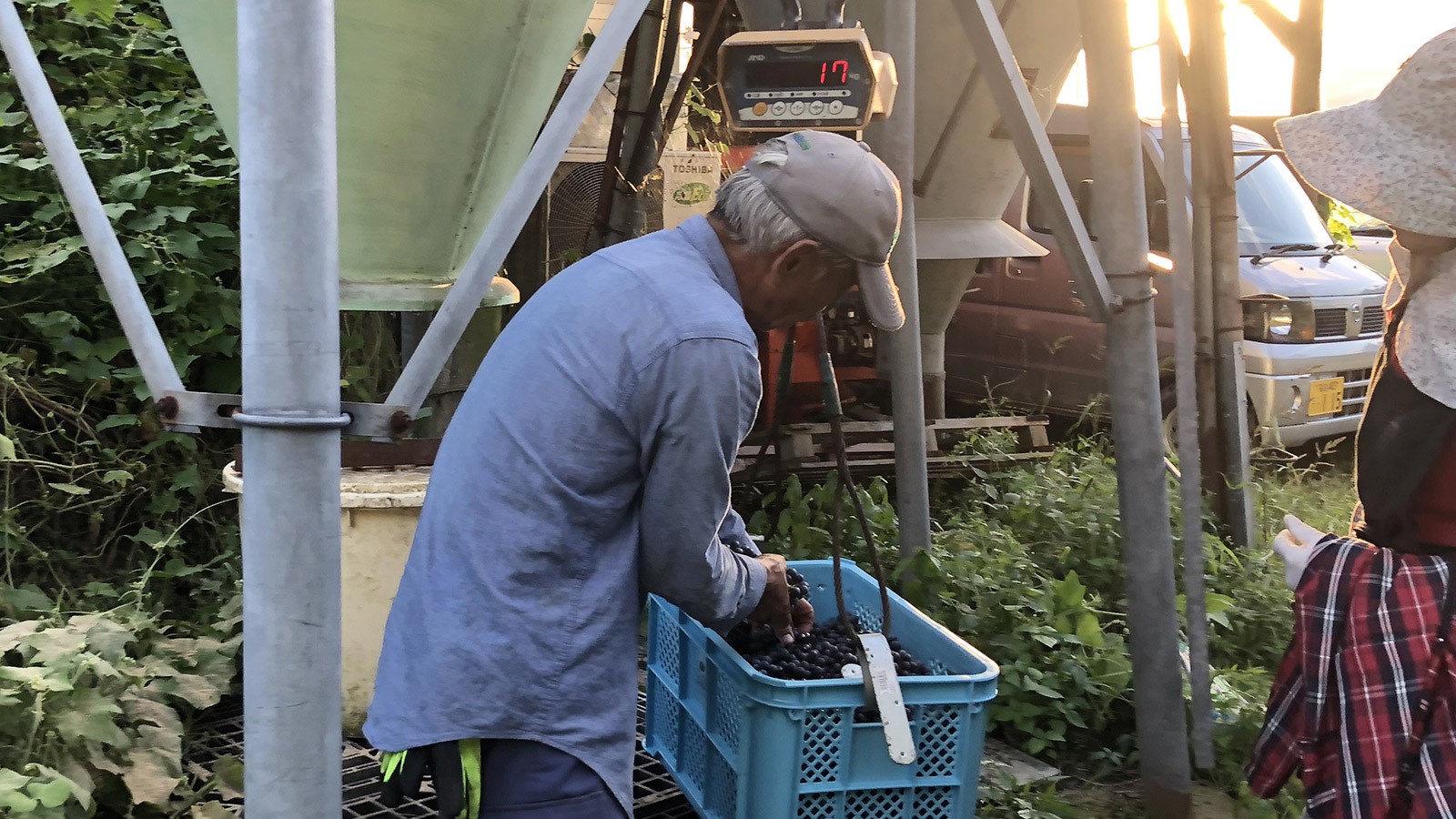 有限会社降矢農園